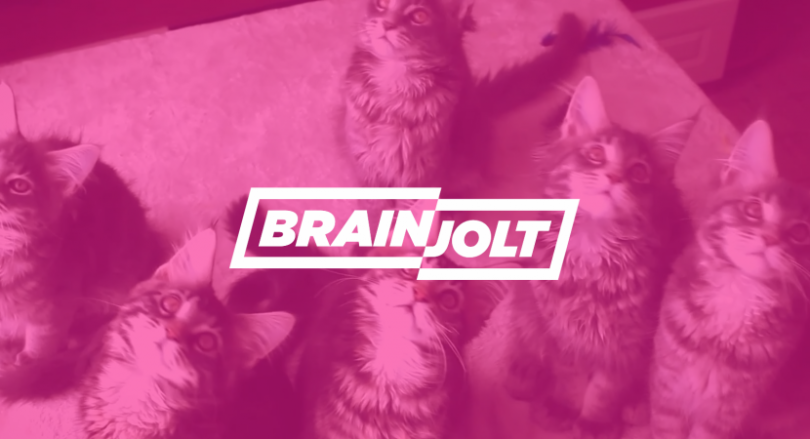 brainjolt media companies los angeles