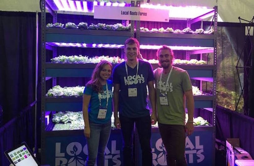 local roots farms food company los angeles