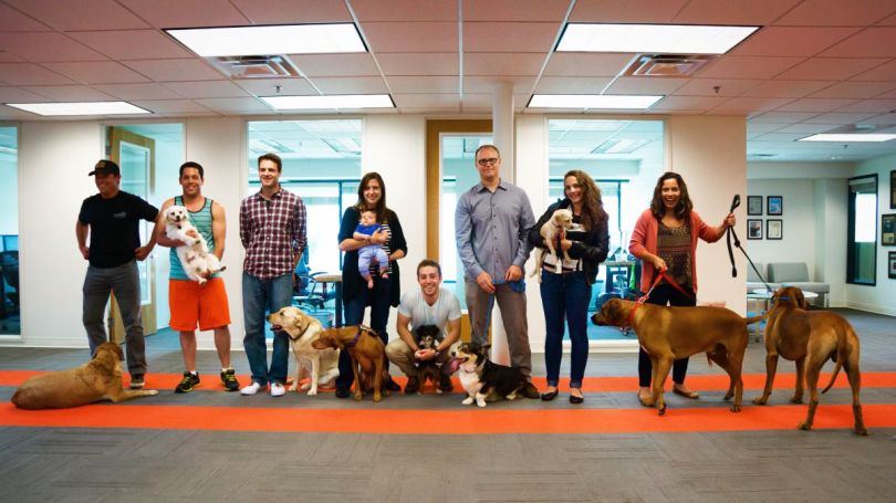 procore software companies los angeles