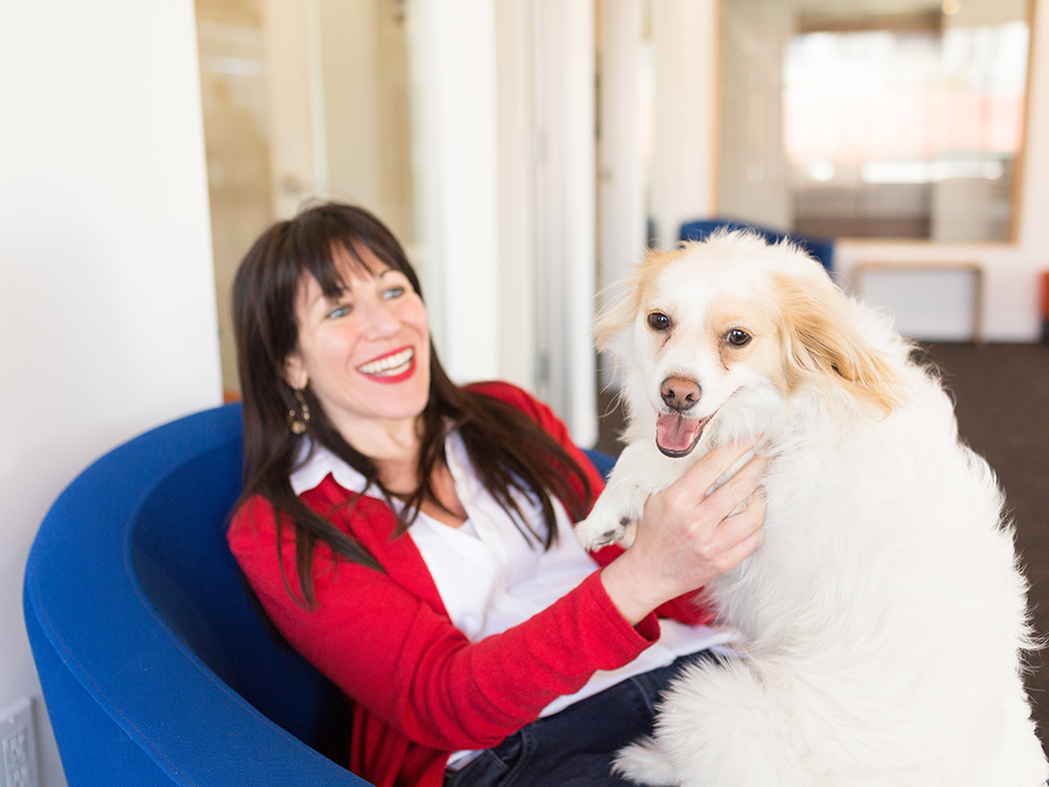 dog-friendly LA offices