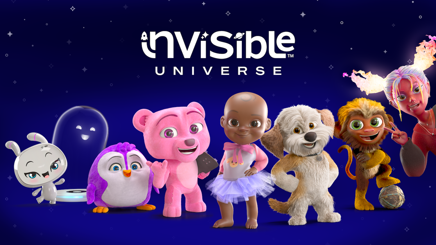 invisible universe