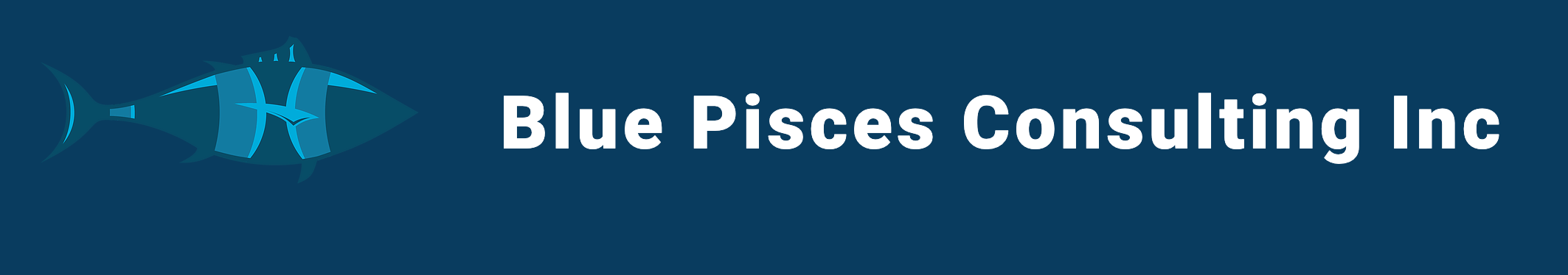 blue pisces consulting consulting firms los angeles