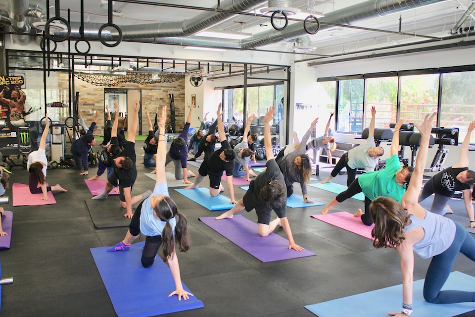 golden hippo los angeles tech in office yoga