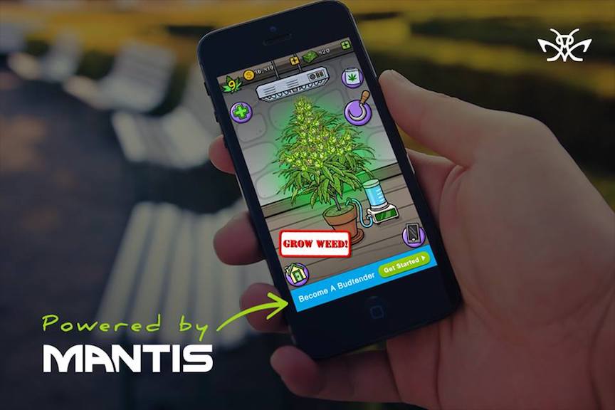 mantis ad network cannatech company los angeles