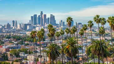 Los Angeles downtown skyline and palm trees in foreground