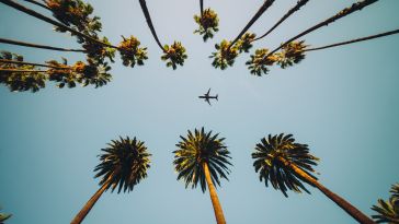 Palm trees frame a blue sky with a plane in the center.