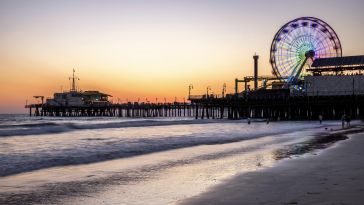 Photo: Shutterstock