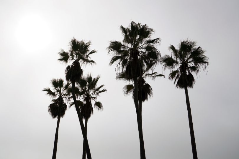 los angeles